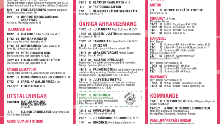 Det händer i Piteå 10 december 2011 - 31 januari 2012