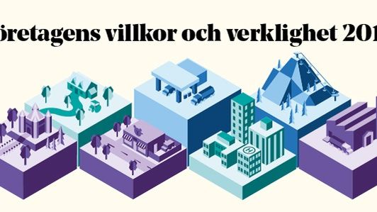 Företagens villkor och verklighet 2017 - Kompetensbrist drabbar även medelstora företag