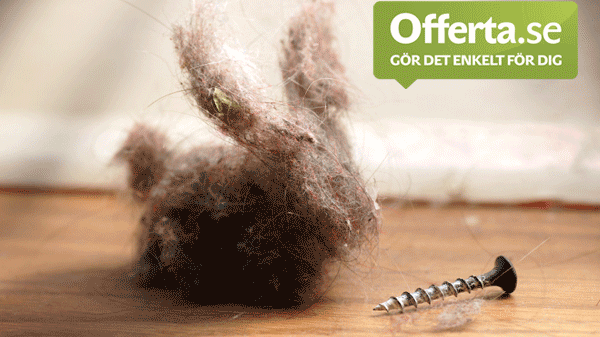 Offerta.se arrangerar SM i dammråttor