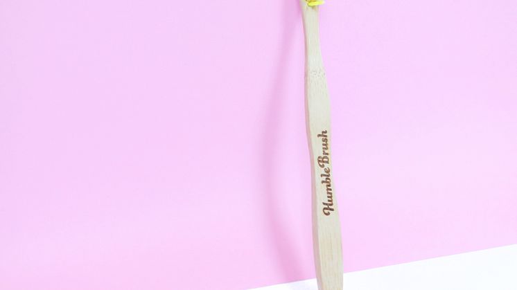 The Humble Brush