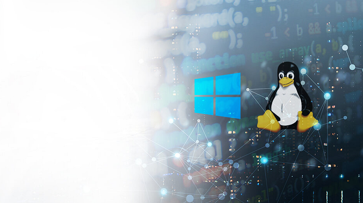 Antalet ransomware-attacker mot Linux-system ökar