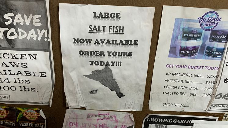 Large salt fish