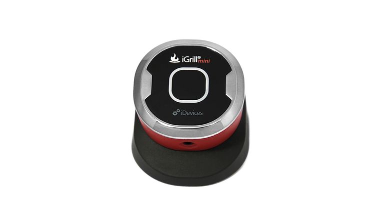 iGrillmini 