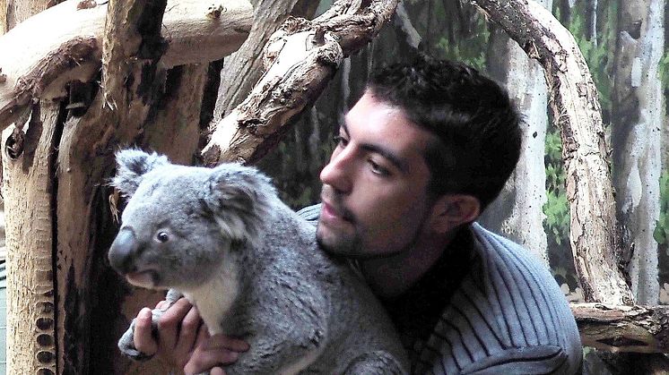Tinaroo und sein Pfleger Tom Collins beim Einzug ins Koala-Haus