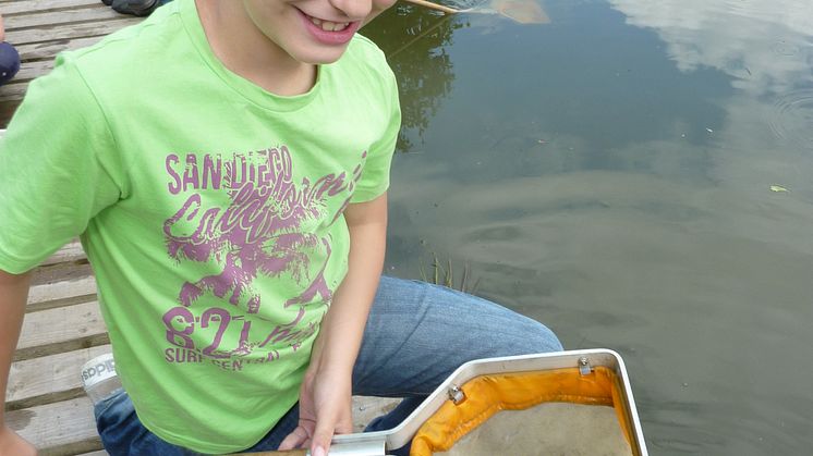 Summer play at Chesham Local Nature Reserve