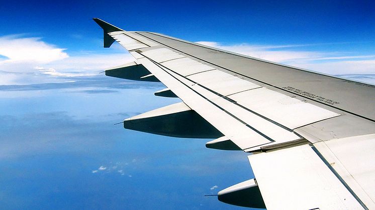 Sverige kan flyga grönt på svensk skog 