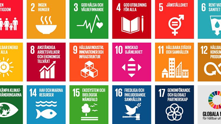 Barn och unga lär sig om FN:s globala mål och Agenda 2030 genom InnoCarnival. De globala målen är universella, integrerade och odelbara, vilket är av stor betydelse för att säkerställa att syftet med Agenda 2030 för hållbar utveckling förverkligas.