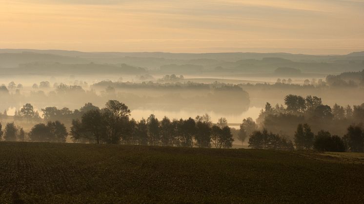 Bergbau_Landschaft_Entlang_Silberstrasse_Kunstteich_Grosshartmannsdorf_Jens_Kugler