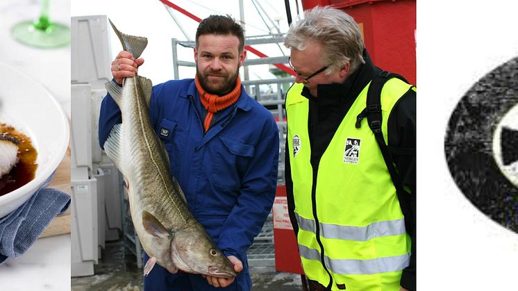 Slik sikrer du deg den beste skreien