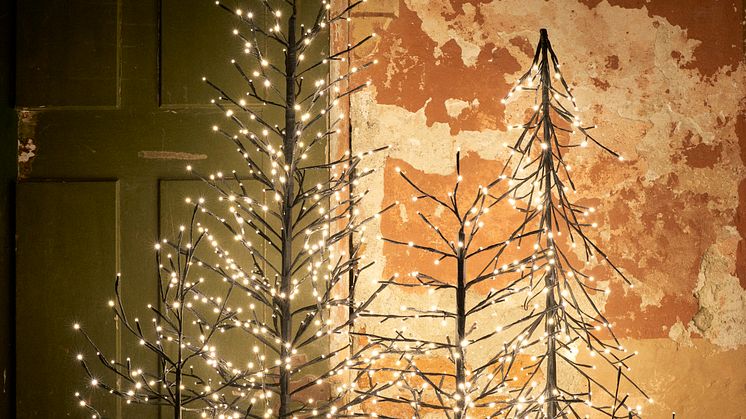 Rusta_2022_S4_Light_Trees-2-I