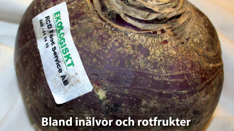 Bland inälvor och rotfrukter -att laga ekologiskt inom vård och omsorg