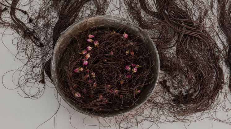 Detalj: Installationsbild: Laleh Kazemi Veisari – Okänt Land, 2022, Färgfabriken