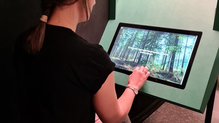 Hvordan vet vi det? - Ny utstilling på Anno Norsk skogmuseum