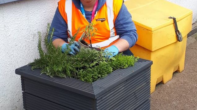 Potters Bar station planting