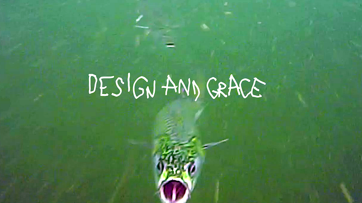 Erik Sandelin defends his doctoral thesis "Design and Grace – ﻿An Ahuman Odyssey"