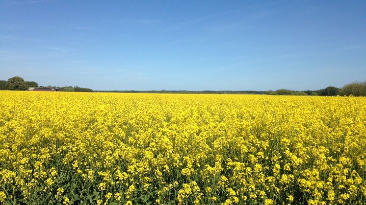 Gör Skåne till ett försöksområde för gårdsförsäljning av vin och öl