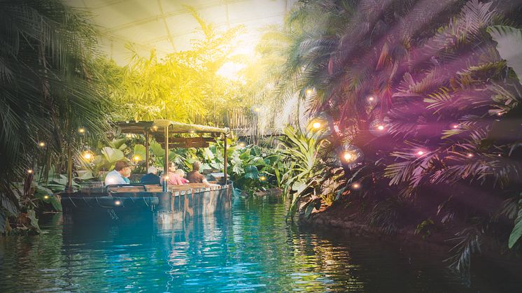 Magisches Tropenleuchten vom 8. bis 24. Februar 2018 im Gondwanaland 