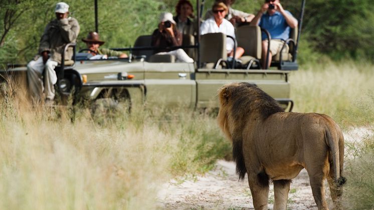 Deception Valley Lodge - Game Drive (3)