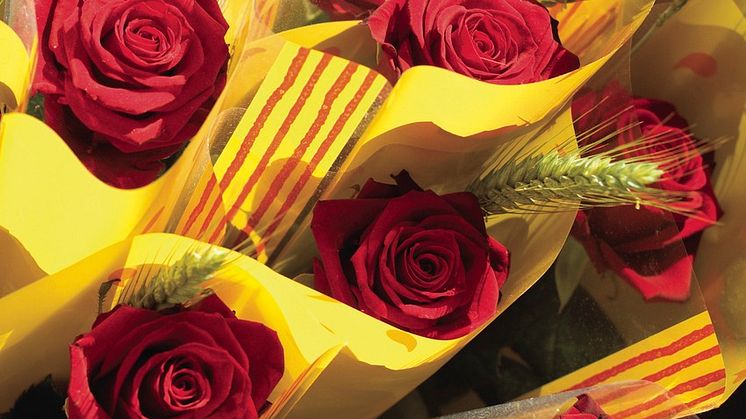 23763 - Roses