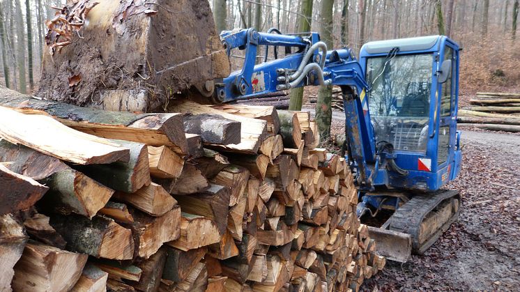 An der TH Wildau befassen sich Projekte der angewandten Forschung und Entwicklung mit Holzlogistik. © CC0 Creative Commons / pixabay.com