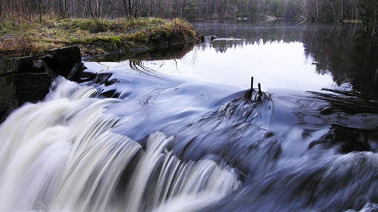 Rapportframsidesbild: Kvarndammarna i Lövsjöbäcken, en del av Lärjeåsystemet som ingår i Göteborgs nödvattensystem. Foto: Per Sander.
