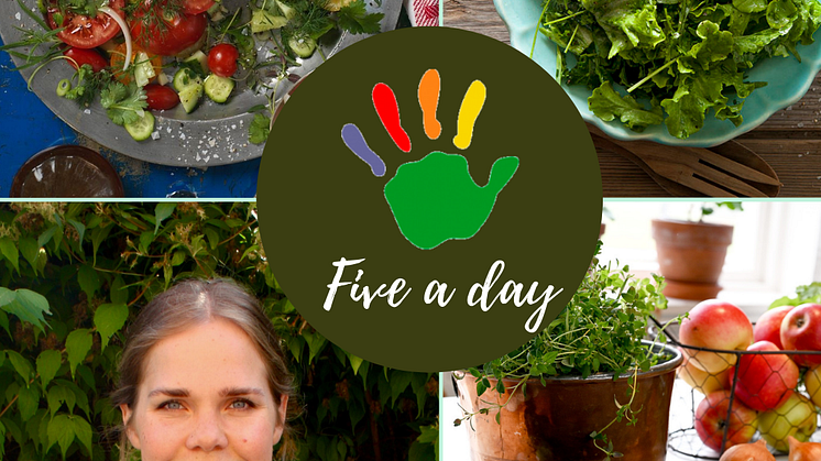 Fiveaday Anna J.png