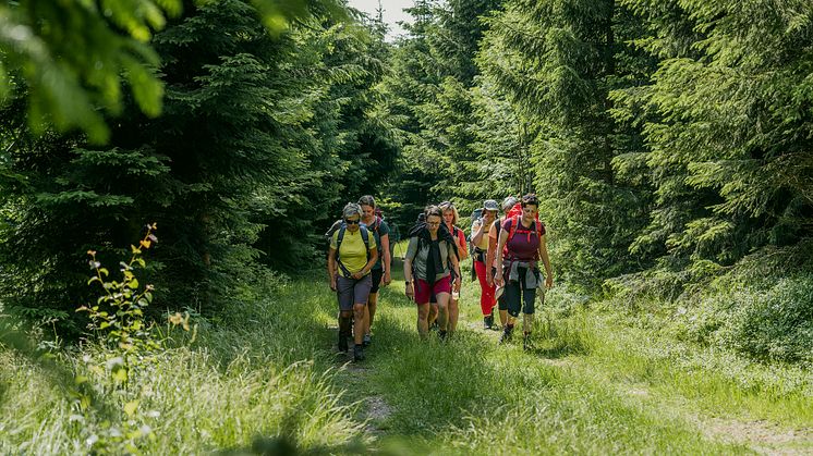 Gruppenwanderung_Oberwiesenthal_Foto TVE_Dirk_Rueckschloss.jpg