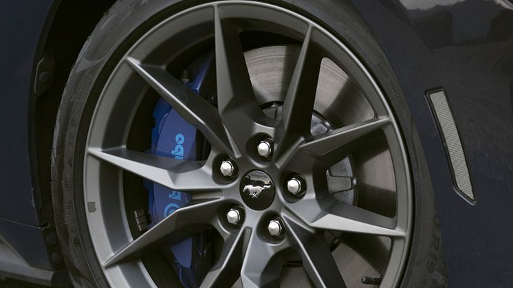 2024 FORD MUSTANG DARK HORSE (28)