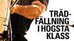 Nordiskt Mästerskap i STIHL TIMBERSPORTS