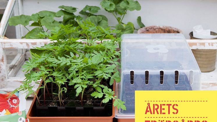 Rootmaster - årets trädgårdsprodukt 2014 finns på Blomsterlandet