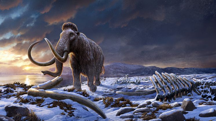 LastWrangelMammoth_(by Beth Zaiken)_Web.jpg