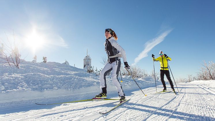 Langlauf im Erzgebirge 