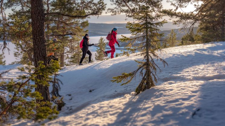 Höga Kusten upplevs som Sveriges tryggaste och säkraste resmål