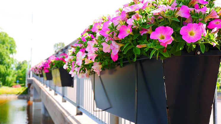 Blommor vid Sandgrundsbron