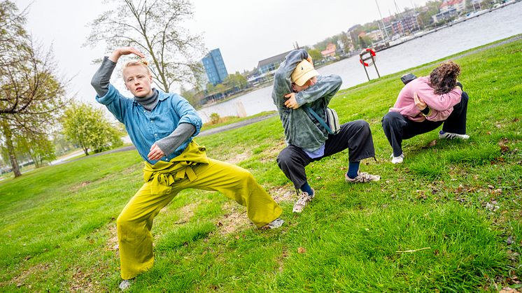 Stuff in the Park 2