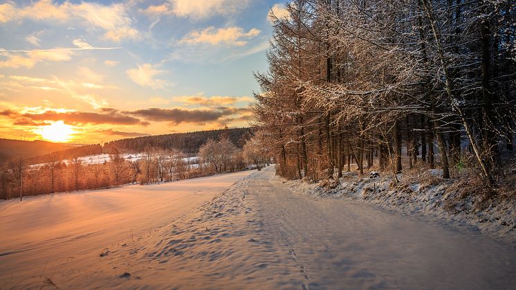 Morgensonne_Foto_TVE_Photoron_Ronny Küttner.jpg