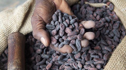 Första globala chokladmärket med 100 procent hållbart odlad kakao