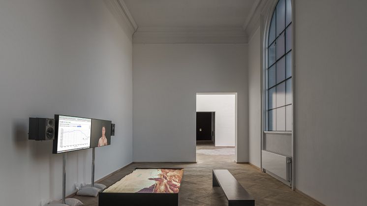 Hito Steyerl, Duty Free Art (2015).