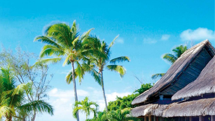 Rejsekatalog - Mauritius