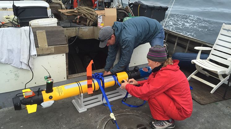 L3OceanServer Iver on deck.secure