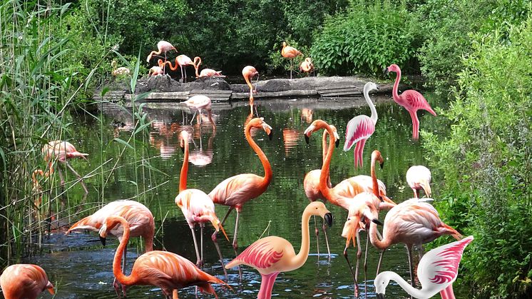 Tierischer Spaß im Zoo Schwerin