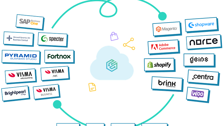 intro-erp-ecom-payment