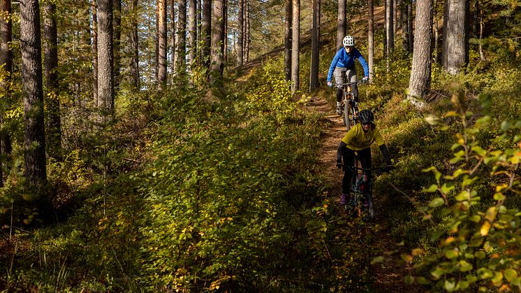Cykling Umeå 
