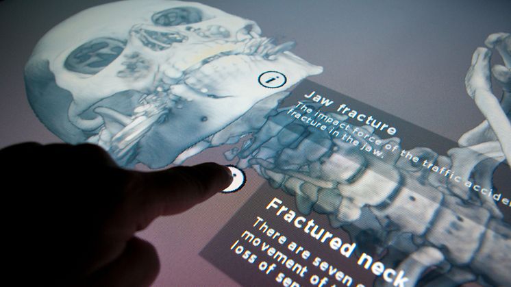 Hur skapar vi en nordisk marknad för välfärdsteknologi?