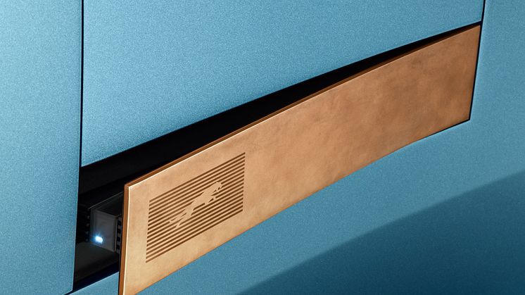 Leaper on brass ingot _3_4x5.jpg