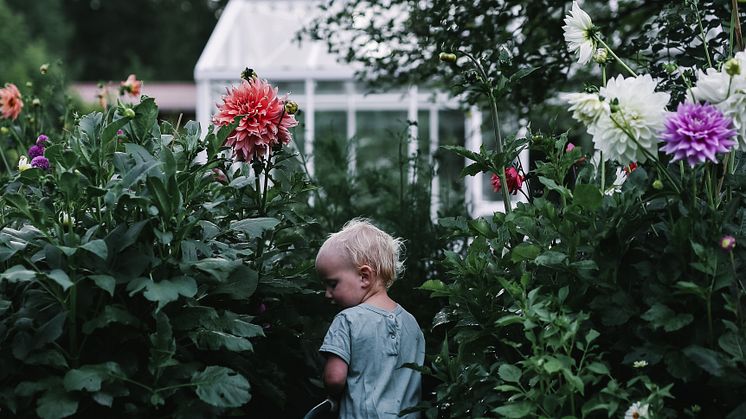 Miljön i fokus - för våra barn och för framtida generationer.