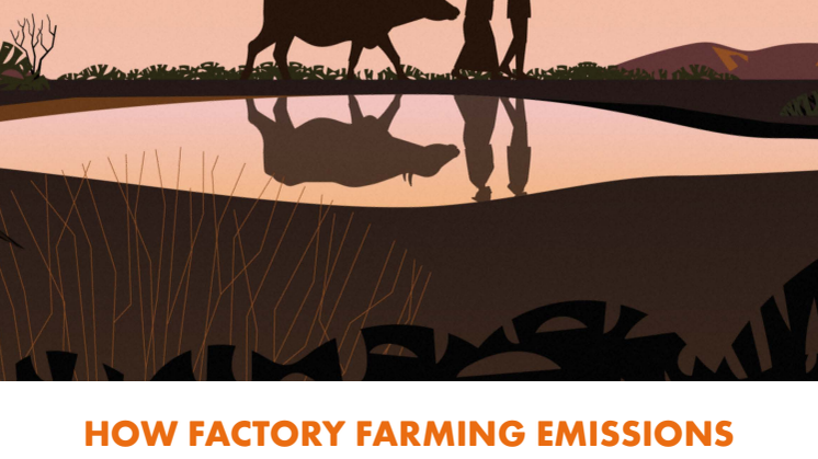 Report Factory Farming and Climate Induced Weather Disasters.pdf