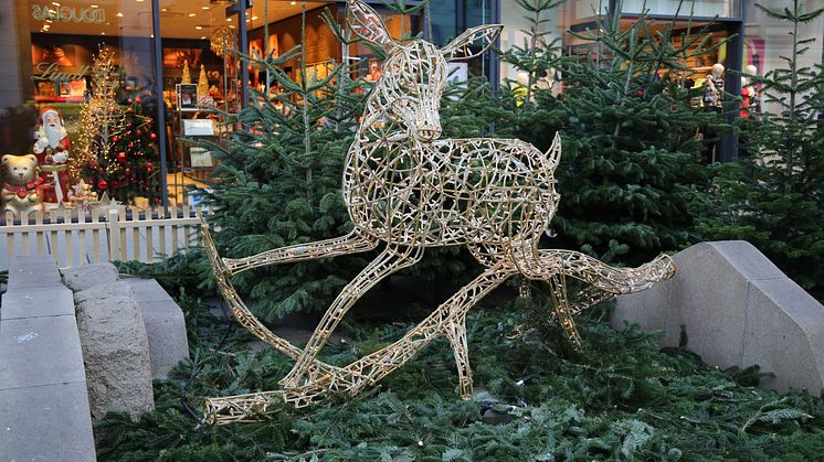 Leipzig: Magischer Wald in der Grimmaischen Straße