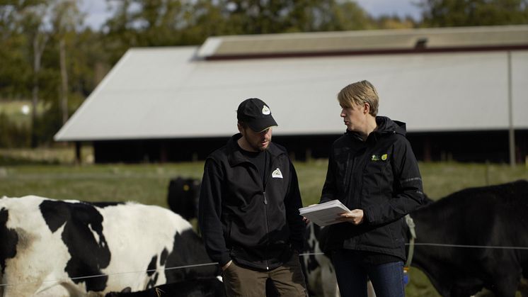 Lantbrukaren kan i samråd med sin rådgivare välja den klimatberäkning som passar gårdens förutsättningar bäst, för hela gården sammantaget eller uppdelat per kilo produkt. Foto: Alexander Regnér