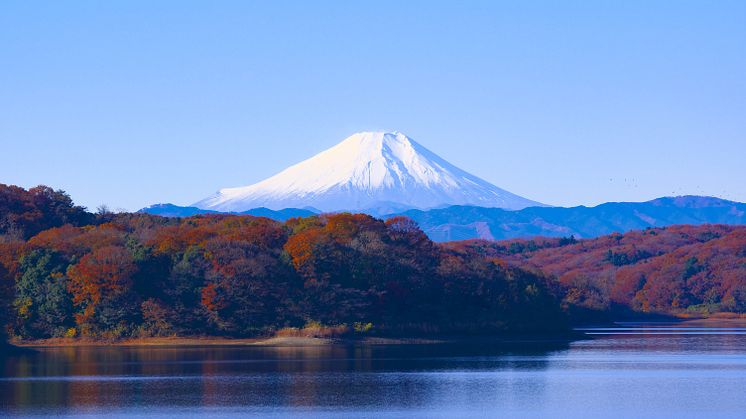 Fred. Olsen Cruise Lines launches inaugural ‘Authentic Japan’ cruise in early 2021